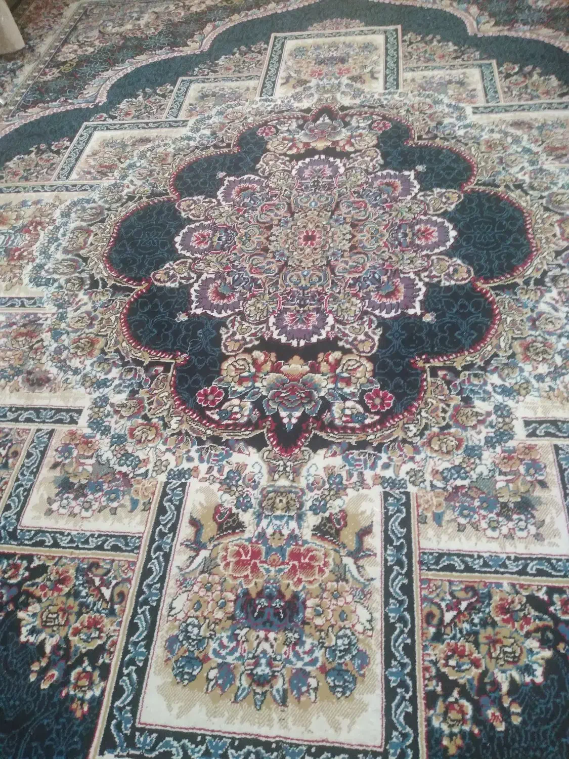 فرش ۱۲ متری|فرش|شیراز, گویم|دیوار