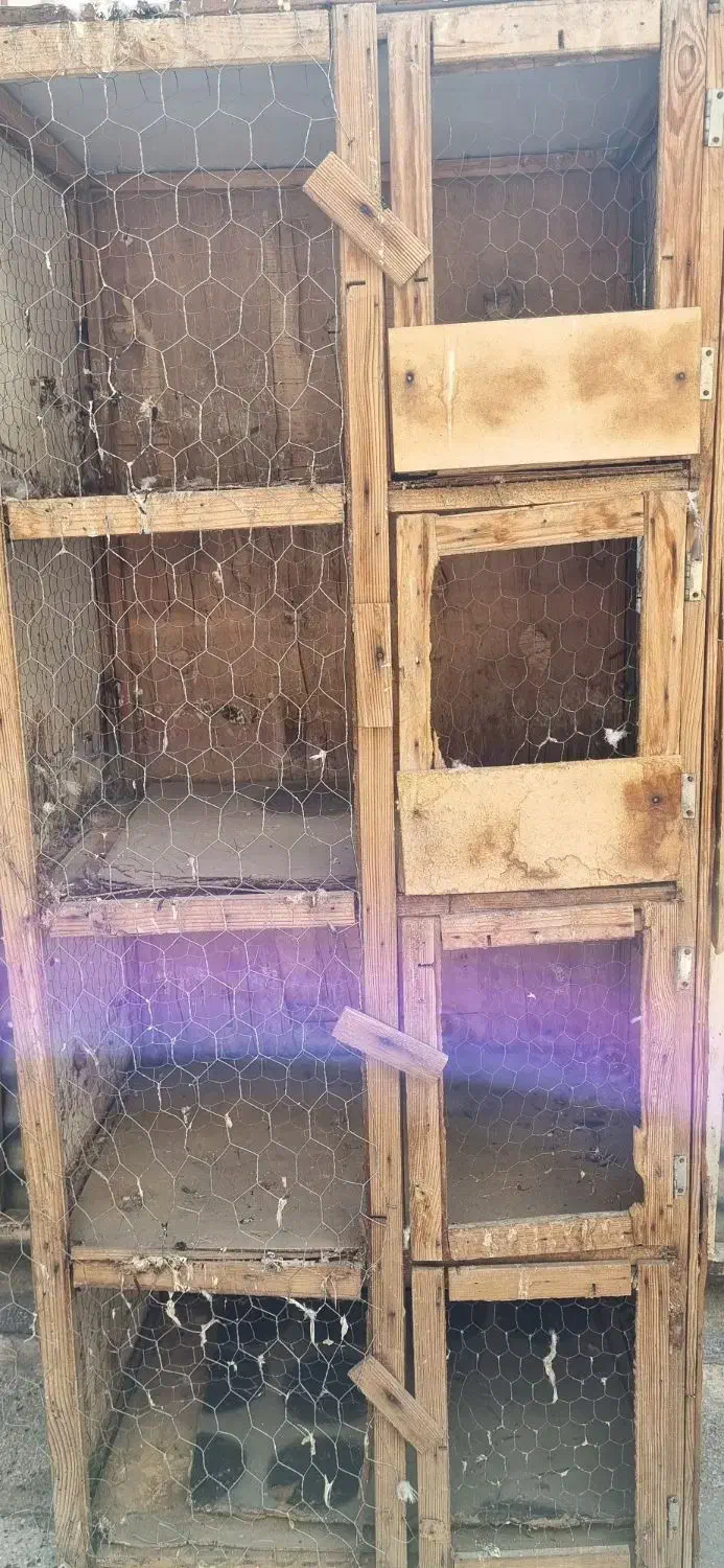 جفت کن|لوازم جانبی حیوانات|تهران, آهنگ|دیوار