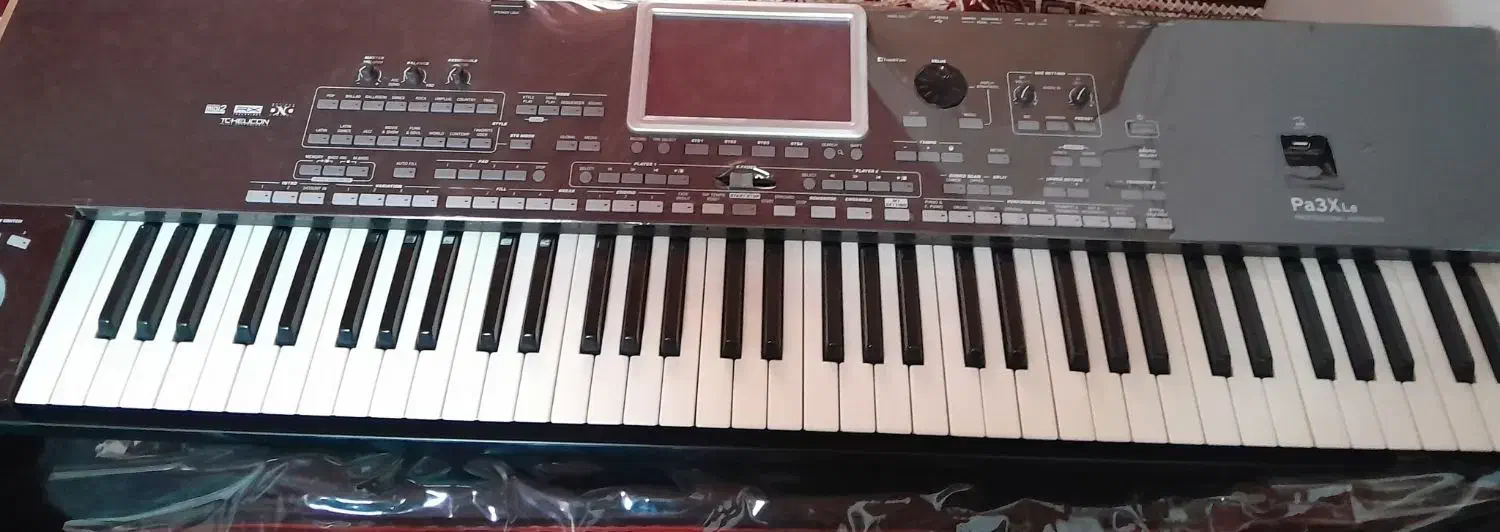 pa3xle|گیتار، بیس، امپلیفایر|شیراز, چوگیاه‎|دیوار