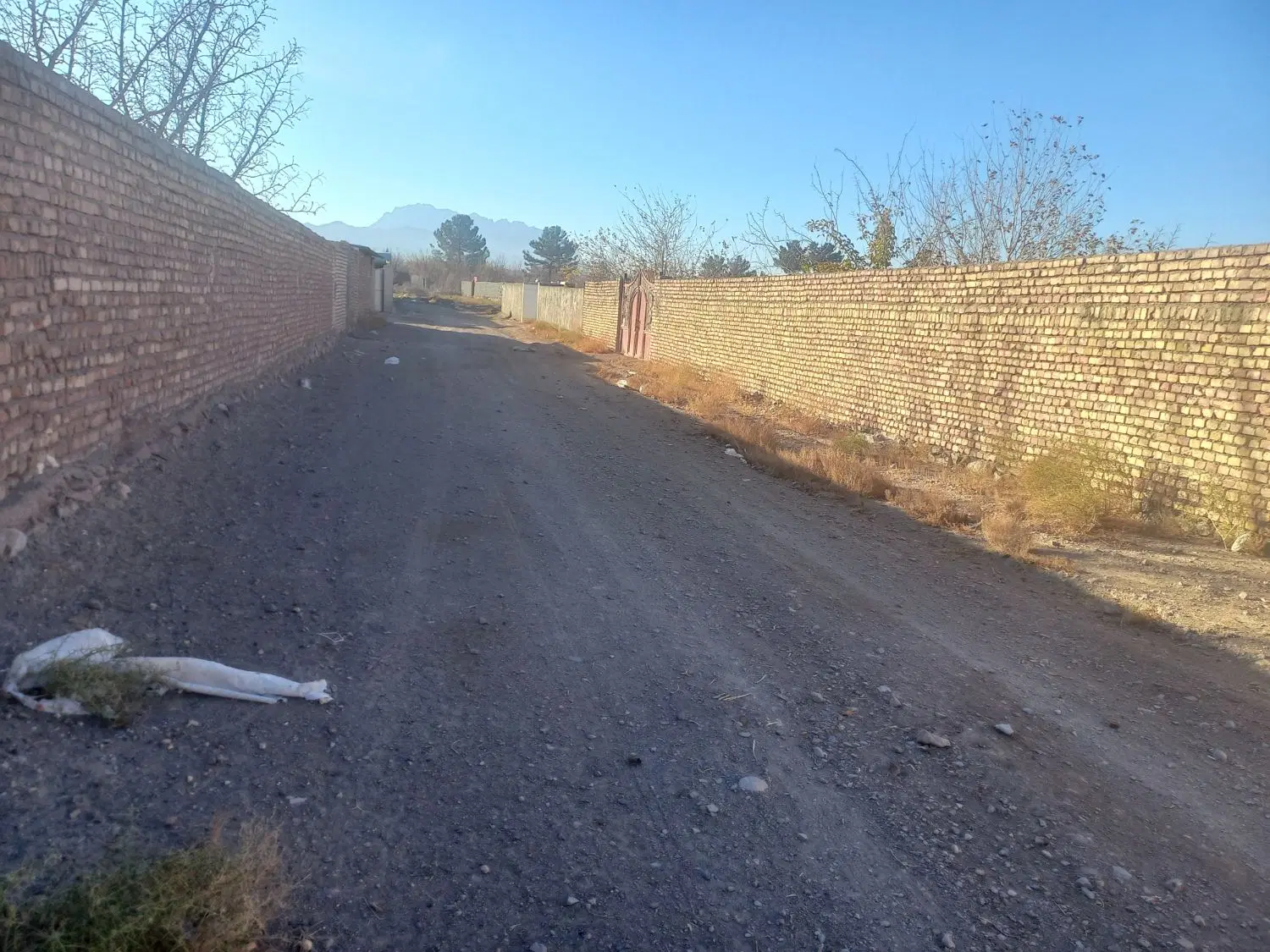 تصویر 6