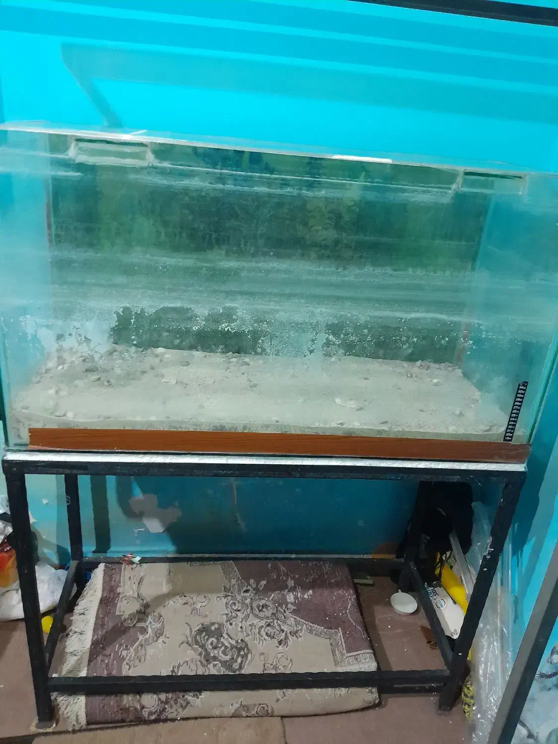 آکواریوم|ماهی|رشت, کوی امام رضا|دیوار