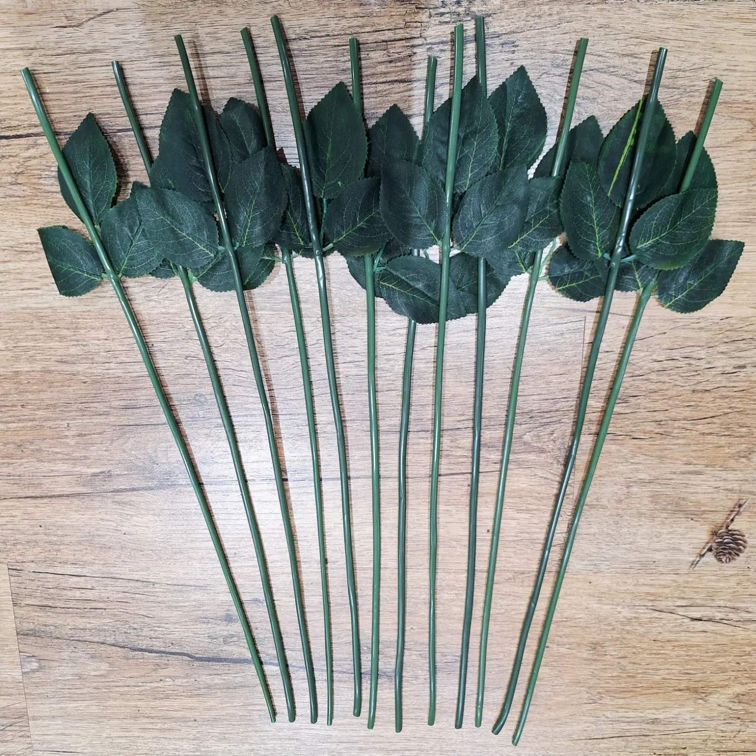 ساقه|گل مصنوعی|تبریز, |دیوار
