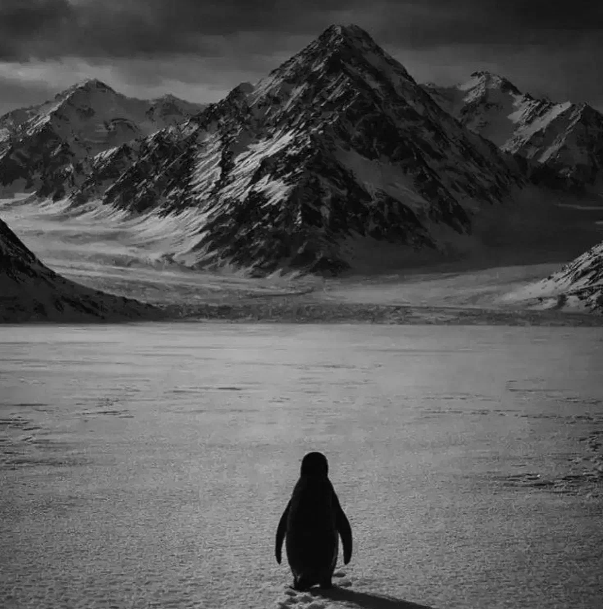 09365166616|سیمکارت|تهران, شهرک فردوس (حسینی)|دیوار