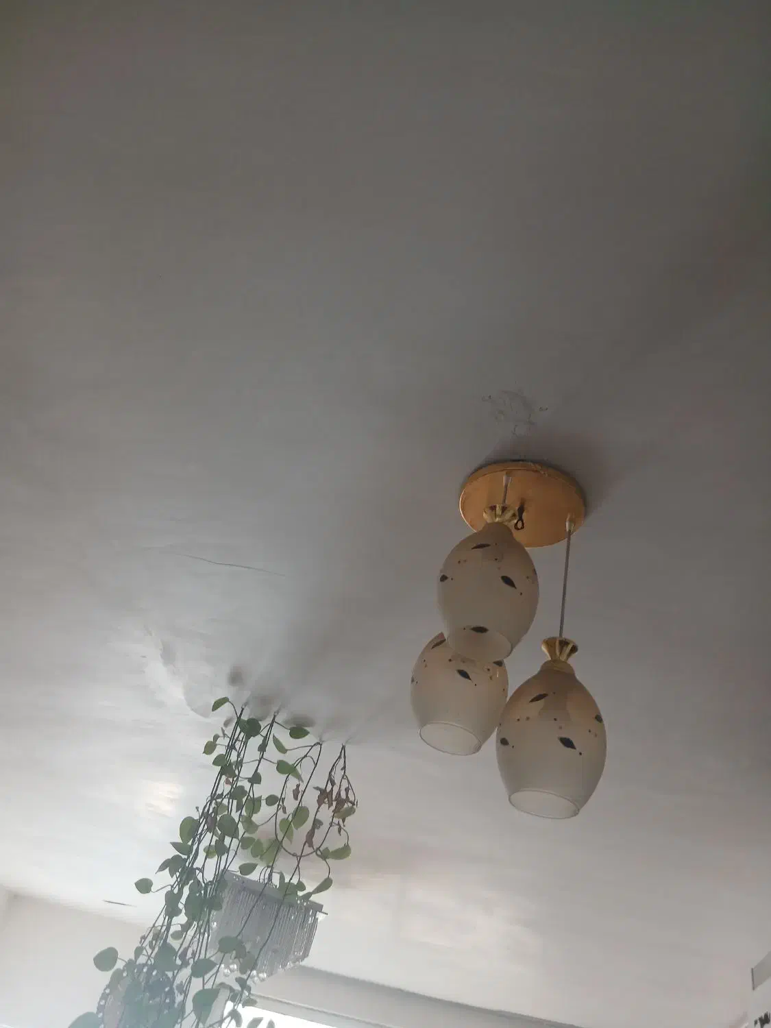 لوستر|لوستر و چراغ آویز|سبزوار, جهاد کشاورزی|دیوار