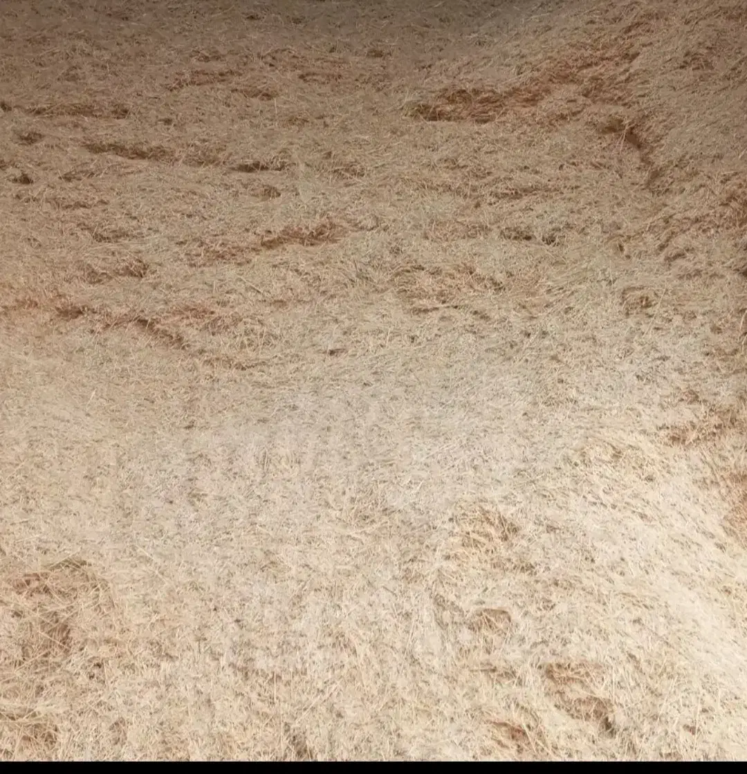 کاه گندم|گل و گیاه طبیعی|الیگودرز, |دیوار
