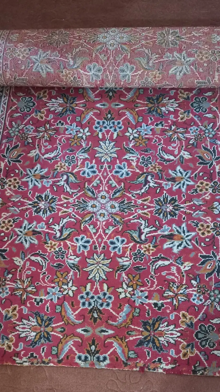 کناره|فرش|شیراز, درکی|دیوار