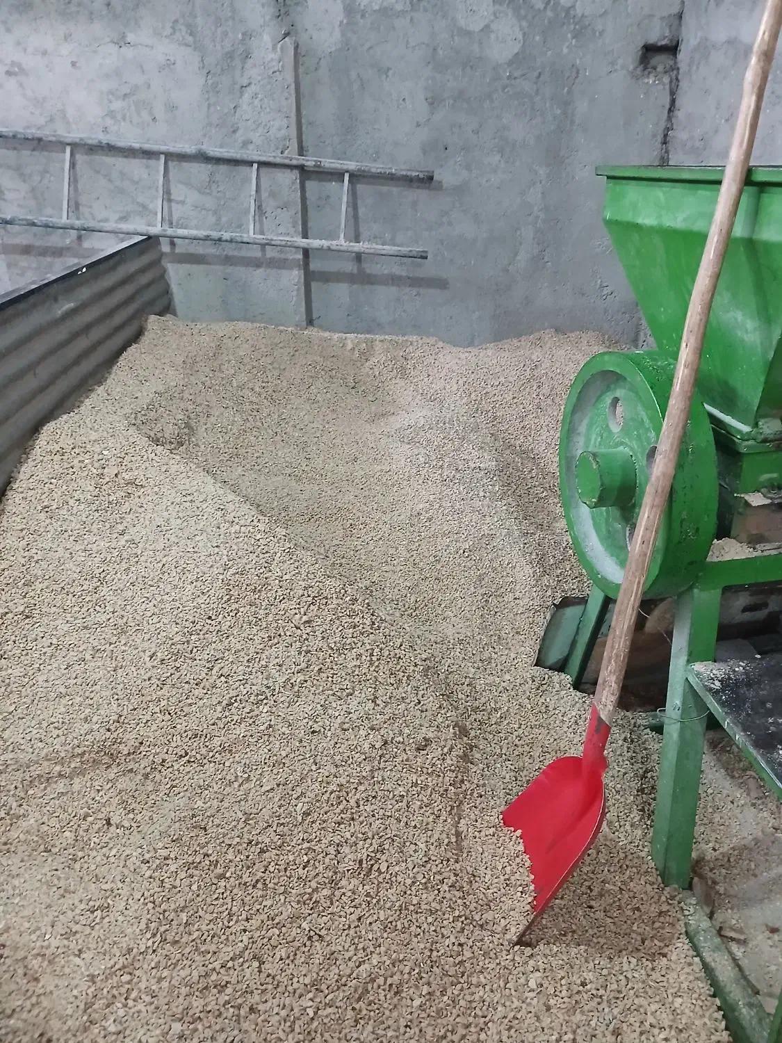 نان خشک|لوازم جانبی حیوانات|شیروان (خراسان), |دیوار