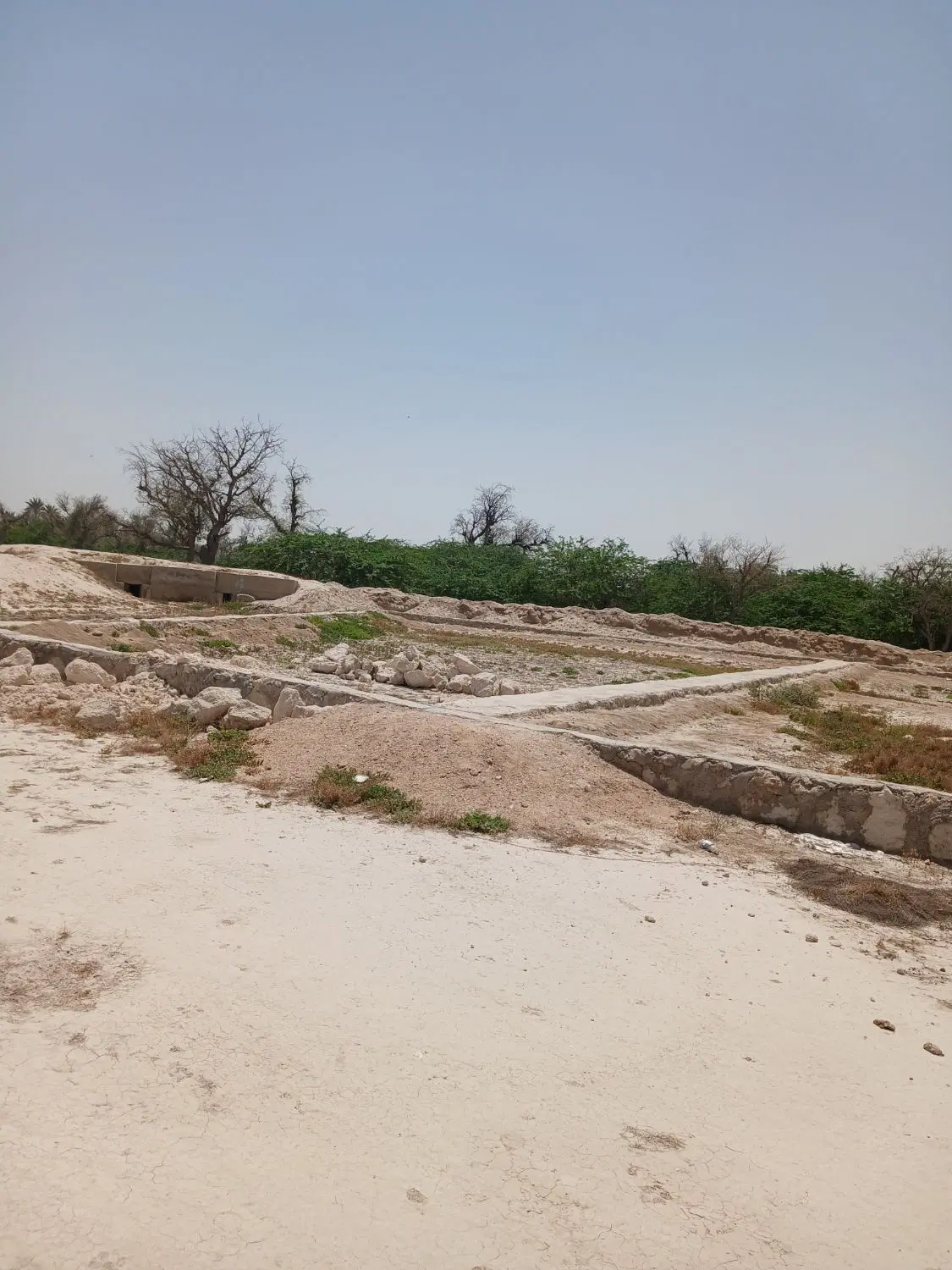 تصویر 8