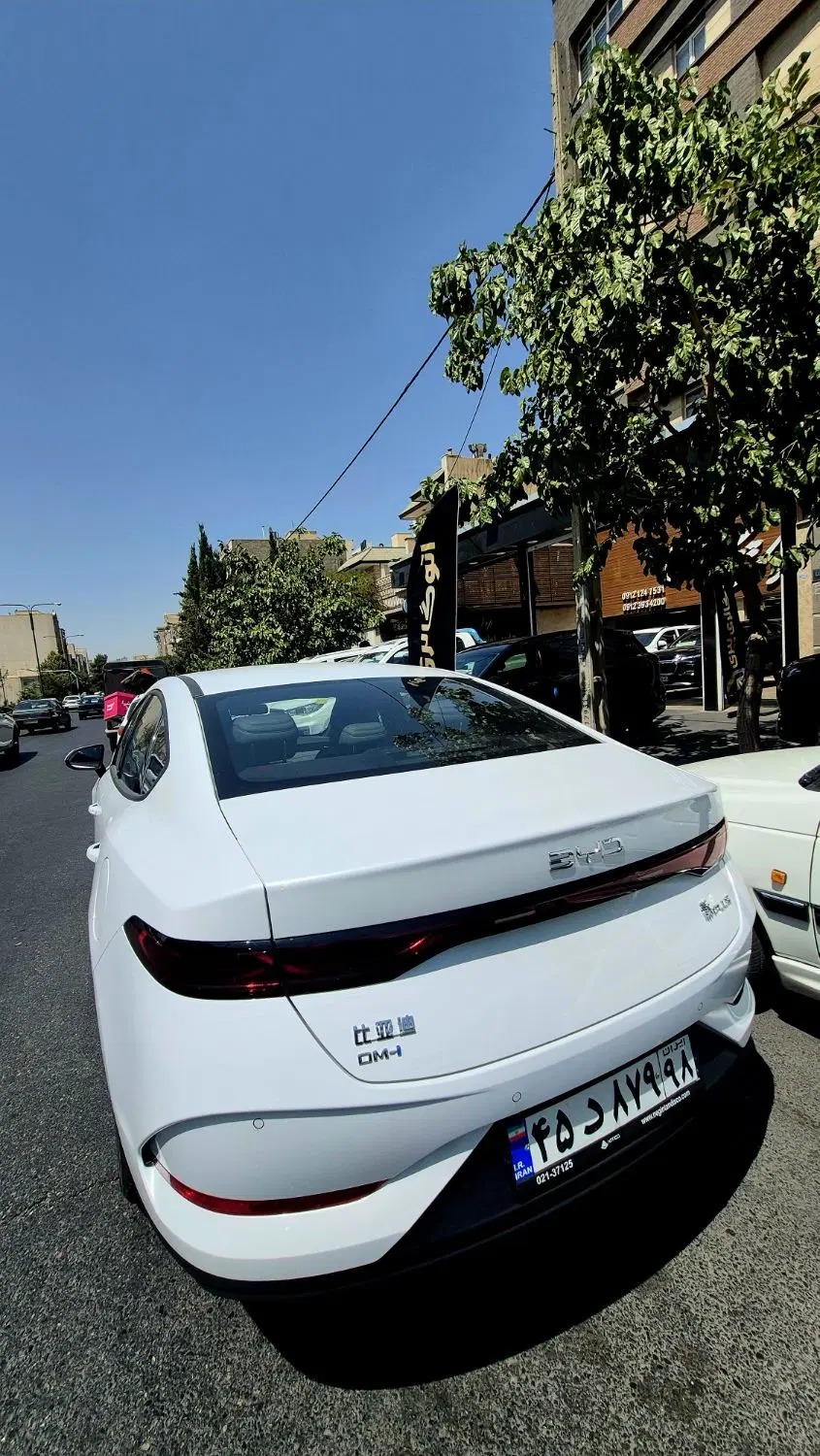 بی وای دی چین پلاس/byd chin+/صفر/۲۰۲۵|خودرو سواری و وانت|تهران, درختی|دیوار