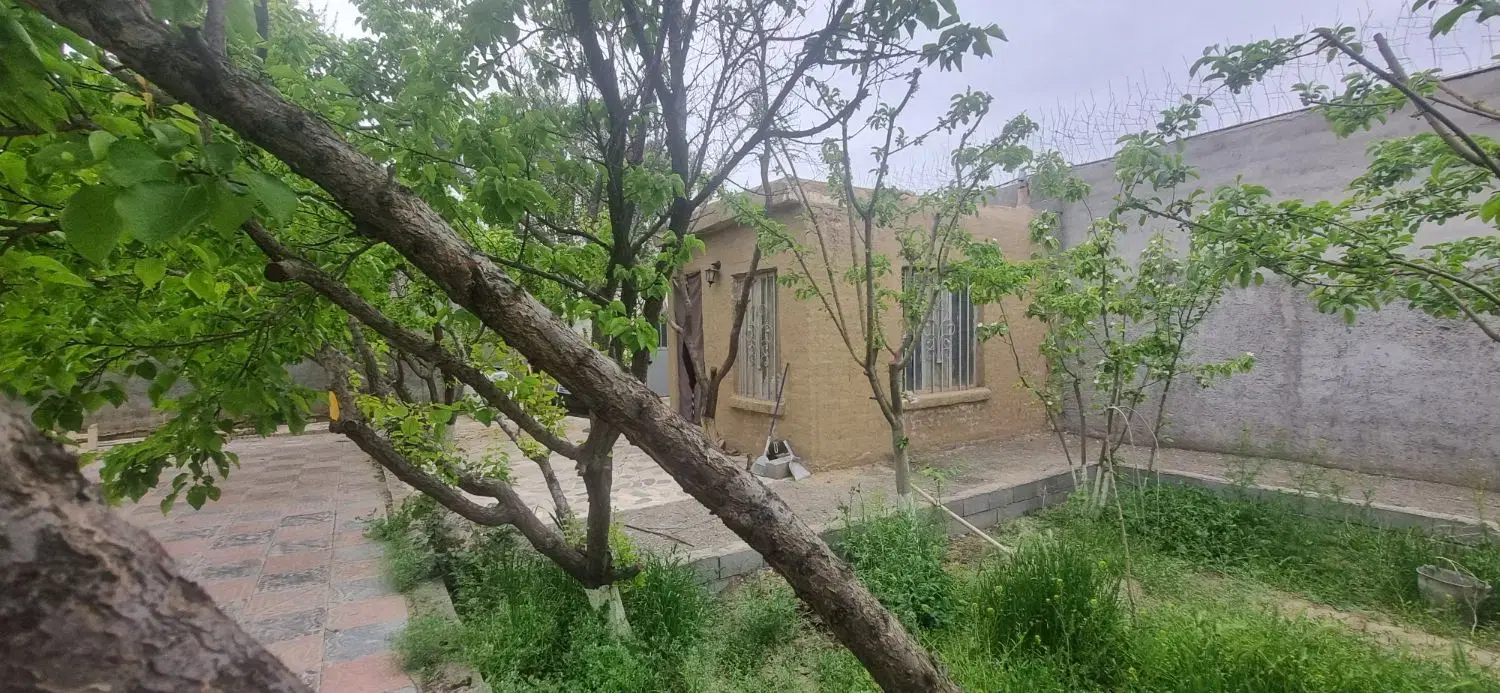 تصویر 2