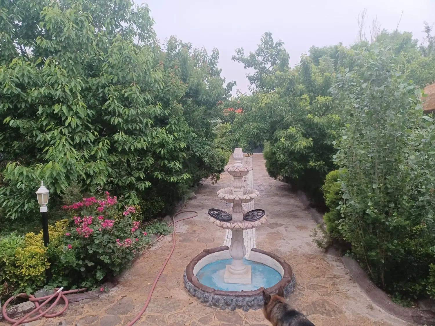 تصویر 2
