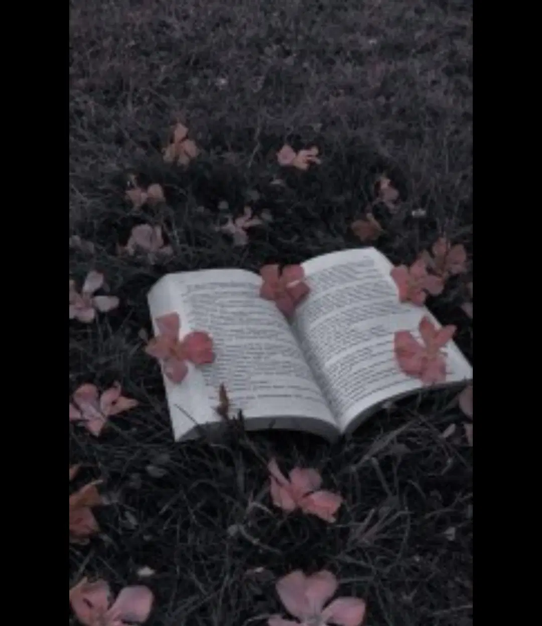 ادبیات|کتاب و مجله ادبی|اراک, |دیوار
