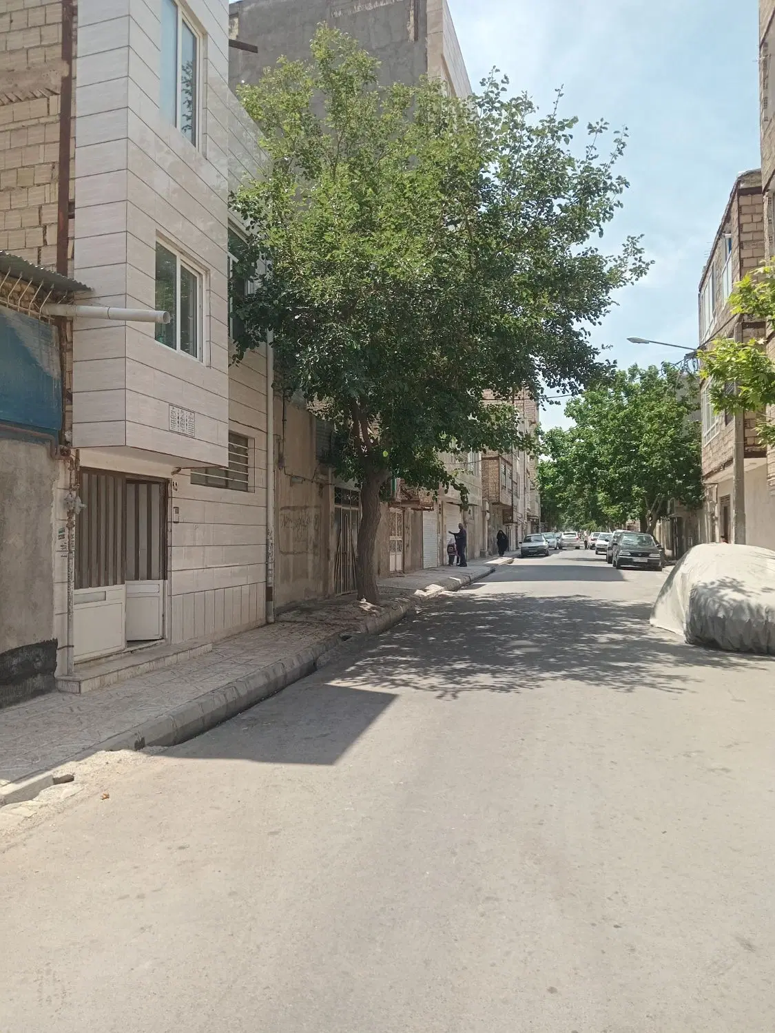 تصویر 13