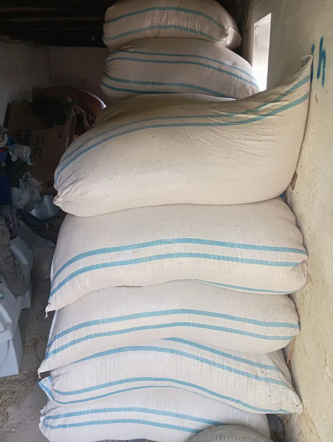 کاه گندم|عمده‌فروشی|انزل, |دیوار