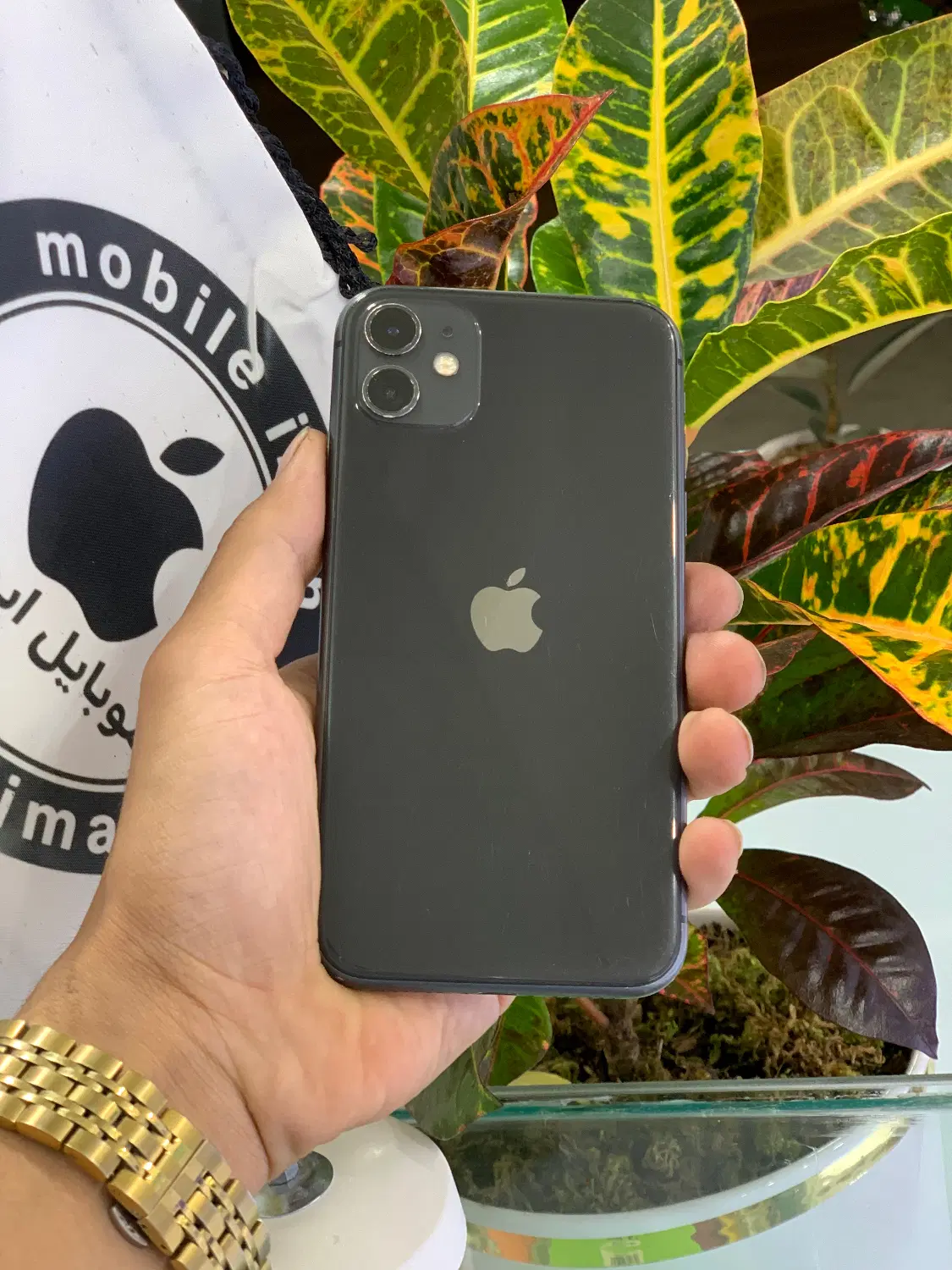iphone 11|موبایل|نیشابور, بنیاد شهید|دیوار