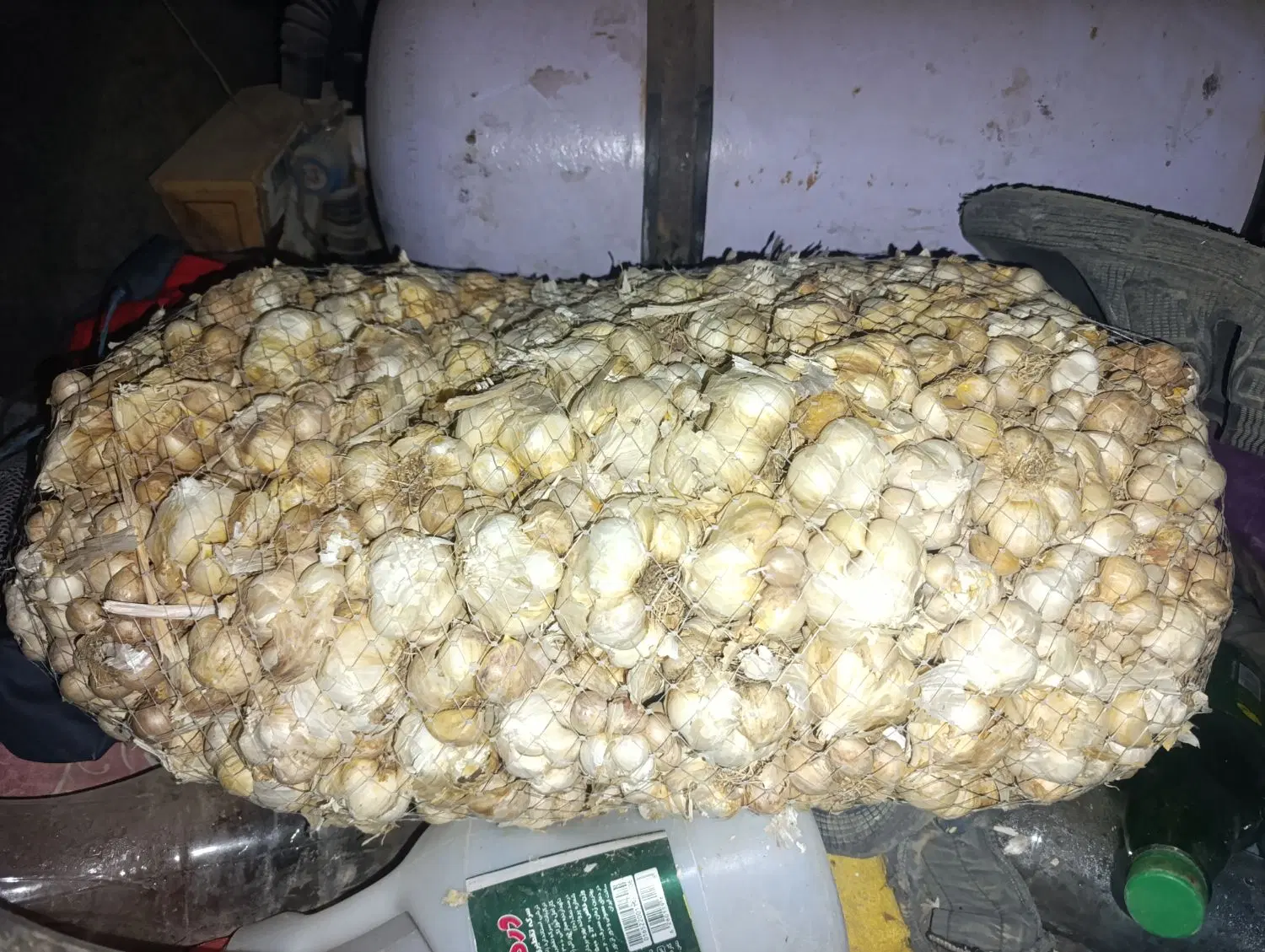 سیر|خوردنی و آشامیدنی|کرمانشاه, |دیوار