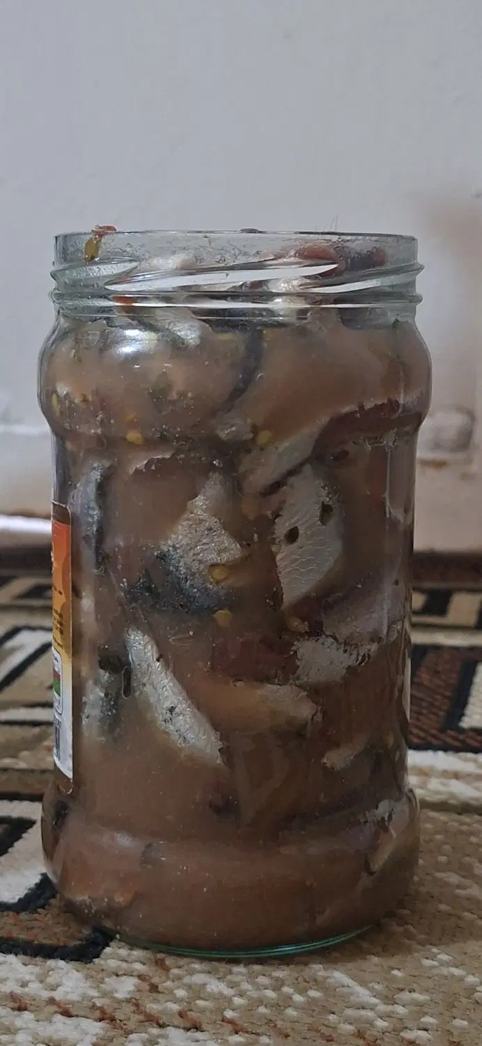 سور|ماهی|بندر کنگان, |دیوار