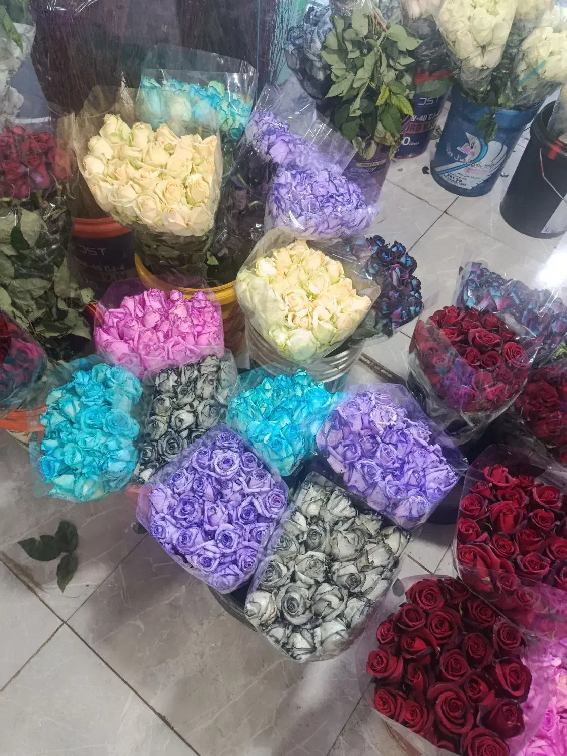 گل رز|گل و گیاه طبیعی|یزد, |دیوار