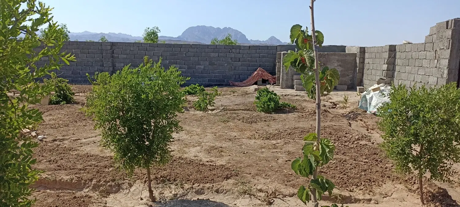تصویر 2