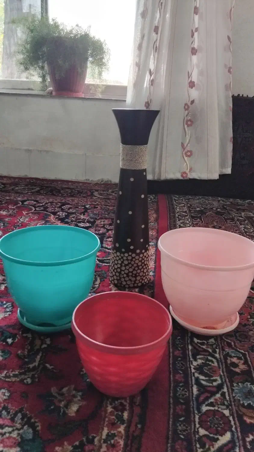 گلدان|گل و گیاه طبیعی|مشهد, سناباد|دیوار