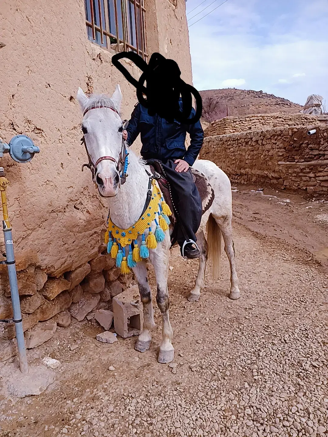 اسب|اسب و تجهیزات اسب‌سواری|تخت سلیمان, |دیوار