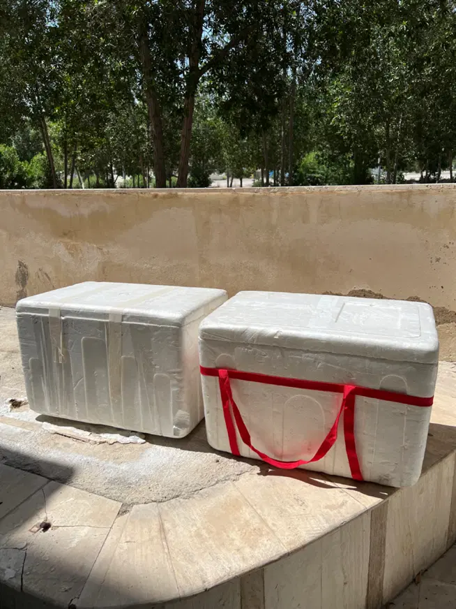 ظروف|ظروف نگهدارنده، پلاستیکی، یک‌بارمصرف|کیش, |دیوار
