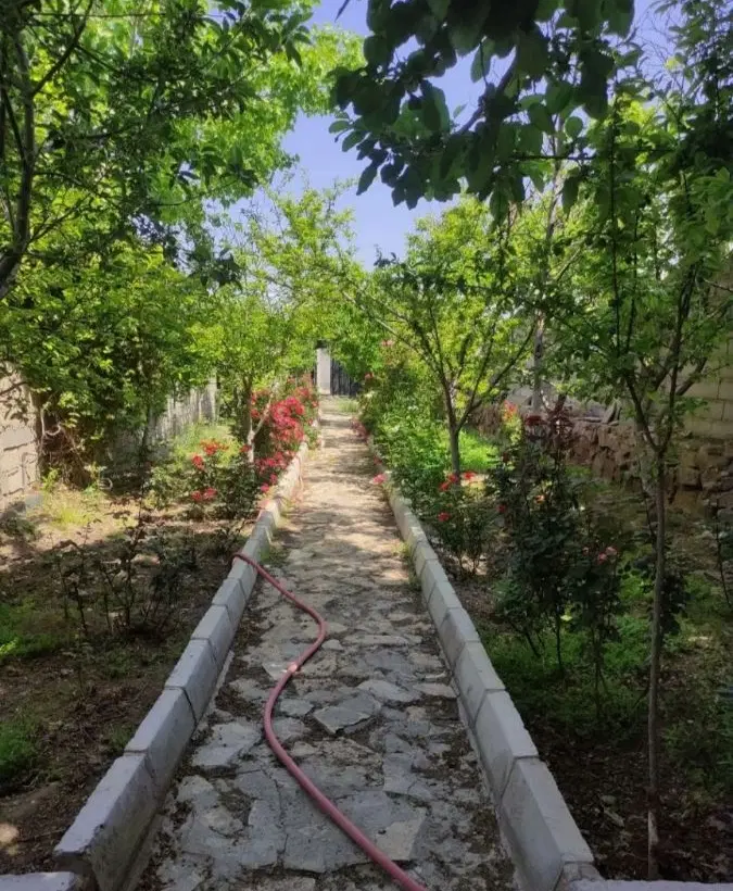 تصویر 7
