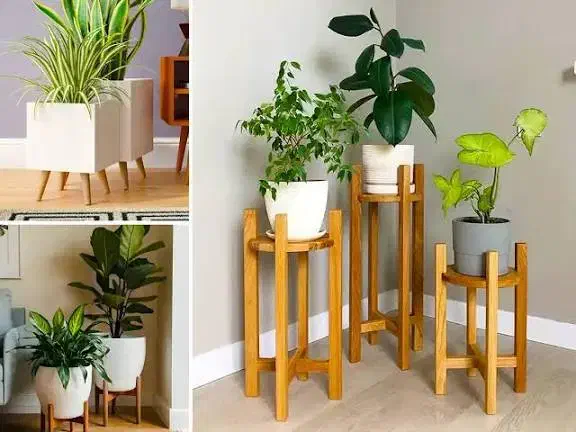 نگهداری گل های آپارتمانی و باغچه ای (باغبانی)|خدمات باغبانی و درختکاری|شاهین‌شهر, حافظ جنوبی|دیوار