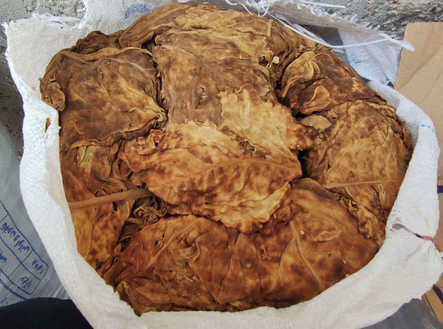 برگ مو|خدمات باغبانی و درختکاری|کاکی, |دیوار