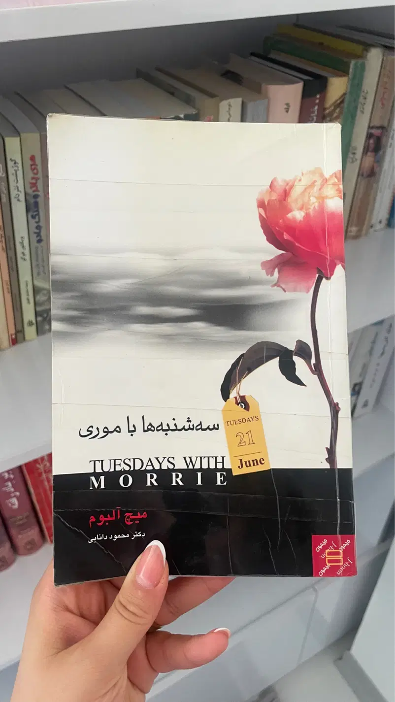 رمان|کتاب و مجله ادبی|شاهین‌شهر, طالقانی|دیوار