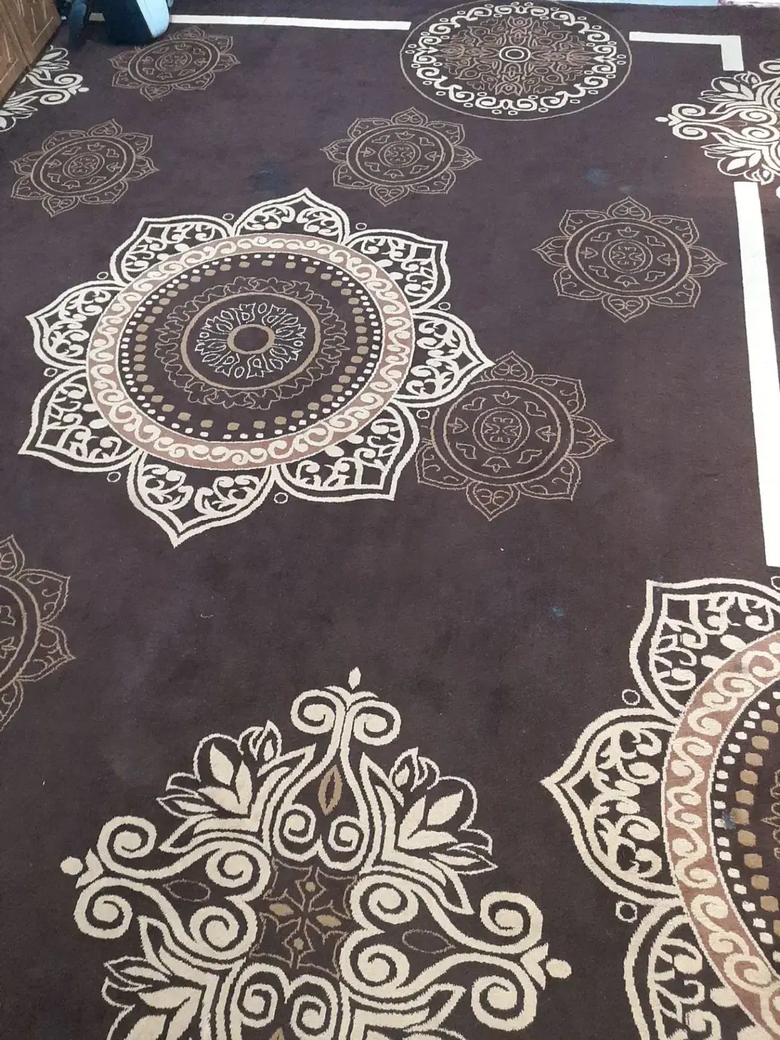 گلیم فرش|گلیم، جاجیم، گبه|شوش, |دیوار