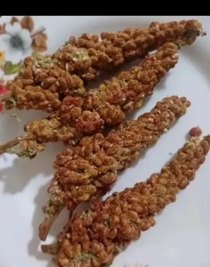 سماق|خوردنی و آشامیدنی|بیجار, |دیوار