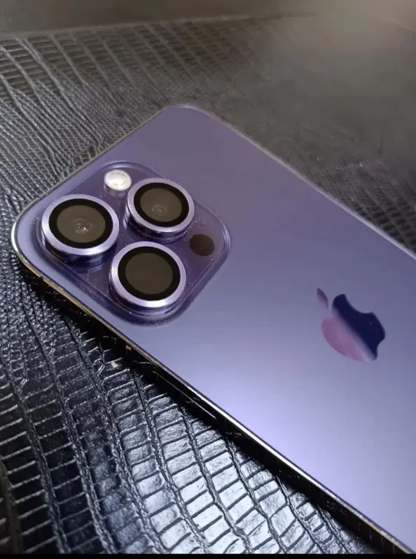 iPhone 14 promax|موبایل|دورود, |دیوار