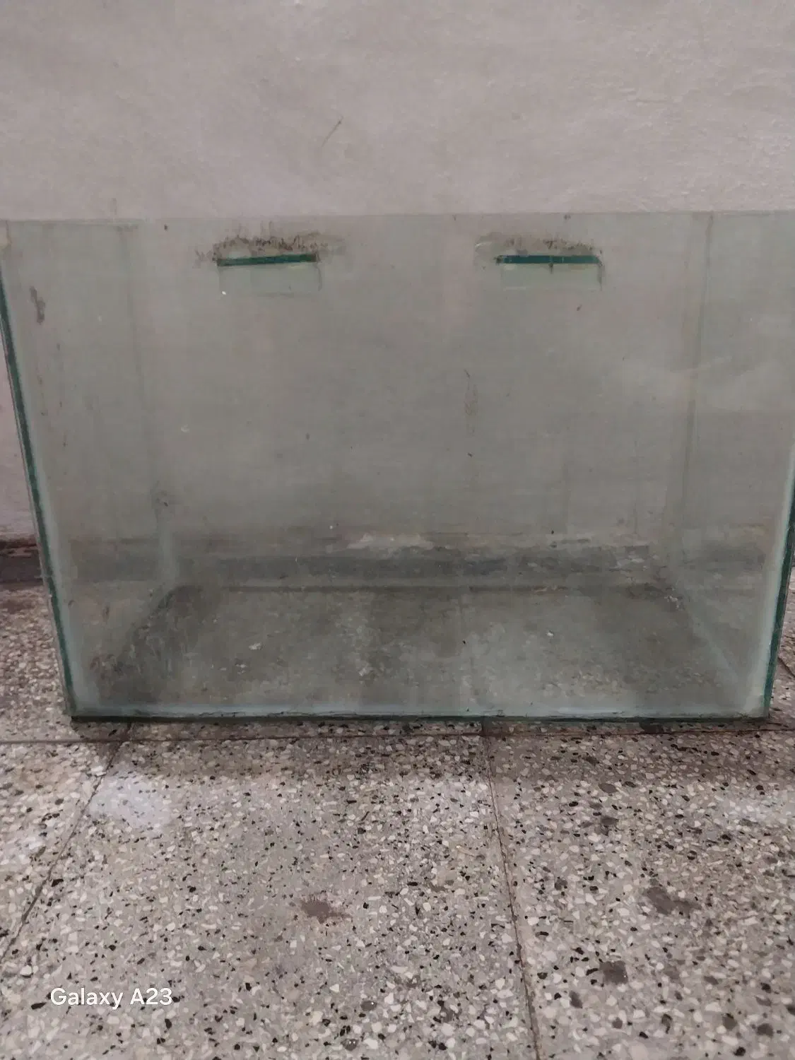 آکواریوم|ماهی|مشهد, ابوذر|دیوار