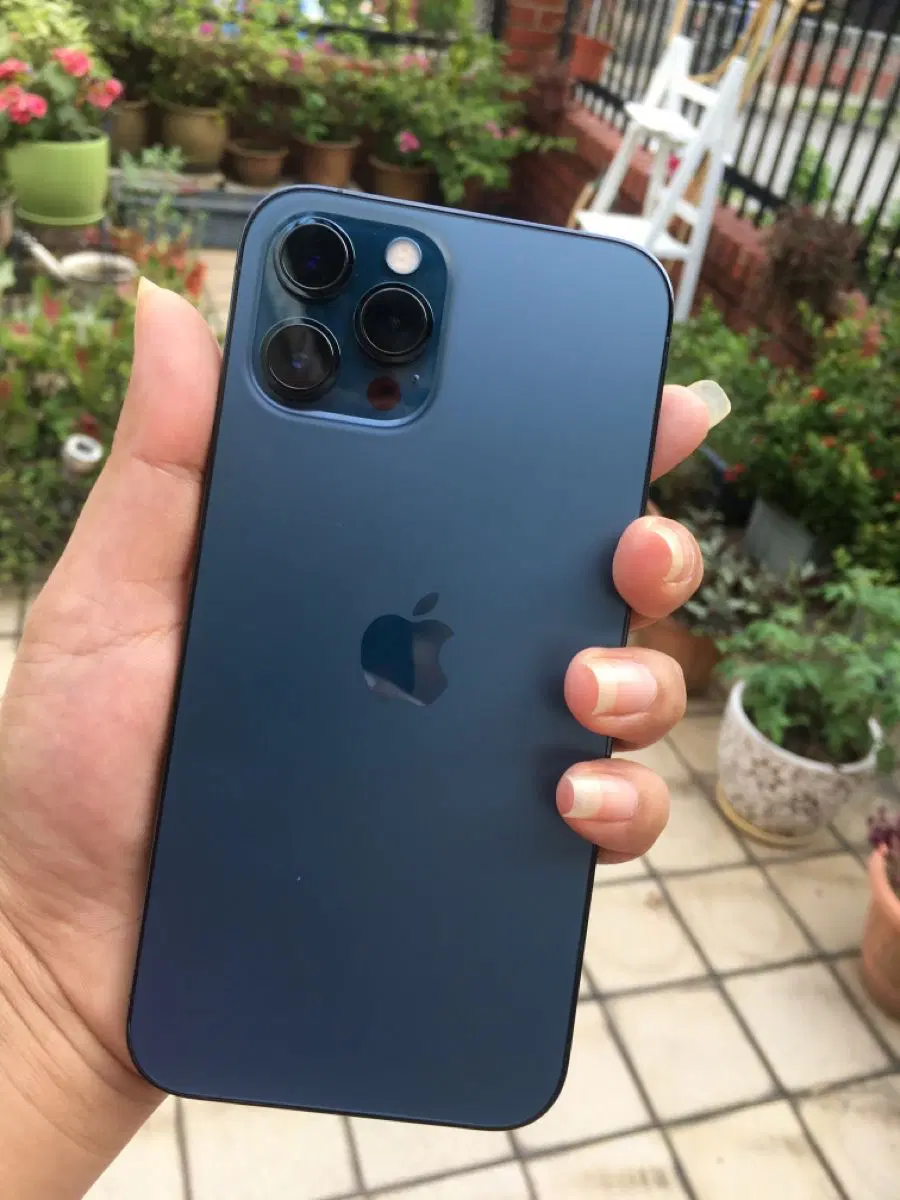 ایفون 12pro|موبایل|کرج, اتحاد|دیوار