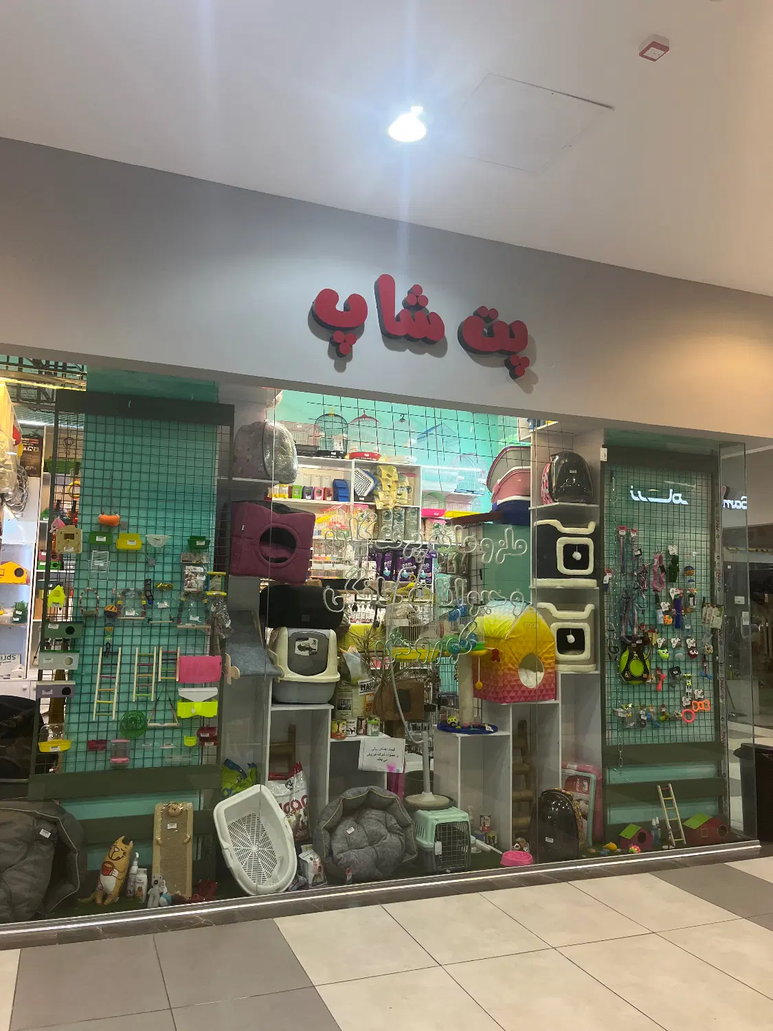 پت شاپ|لوازم جانبی حیوانات|تهران, باشگاه نفت|دیوار
