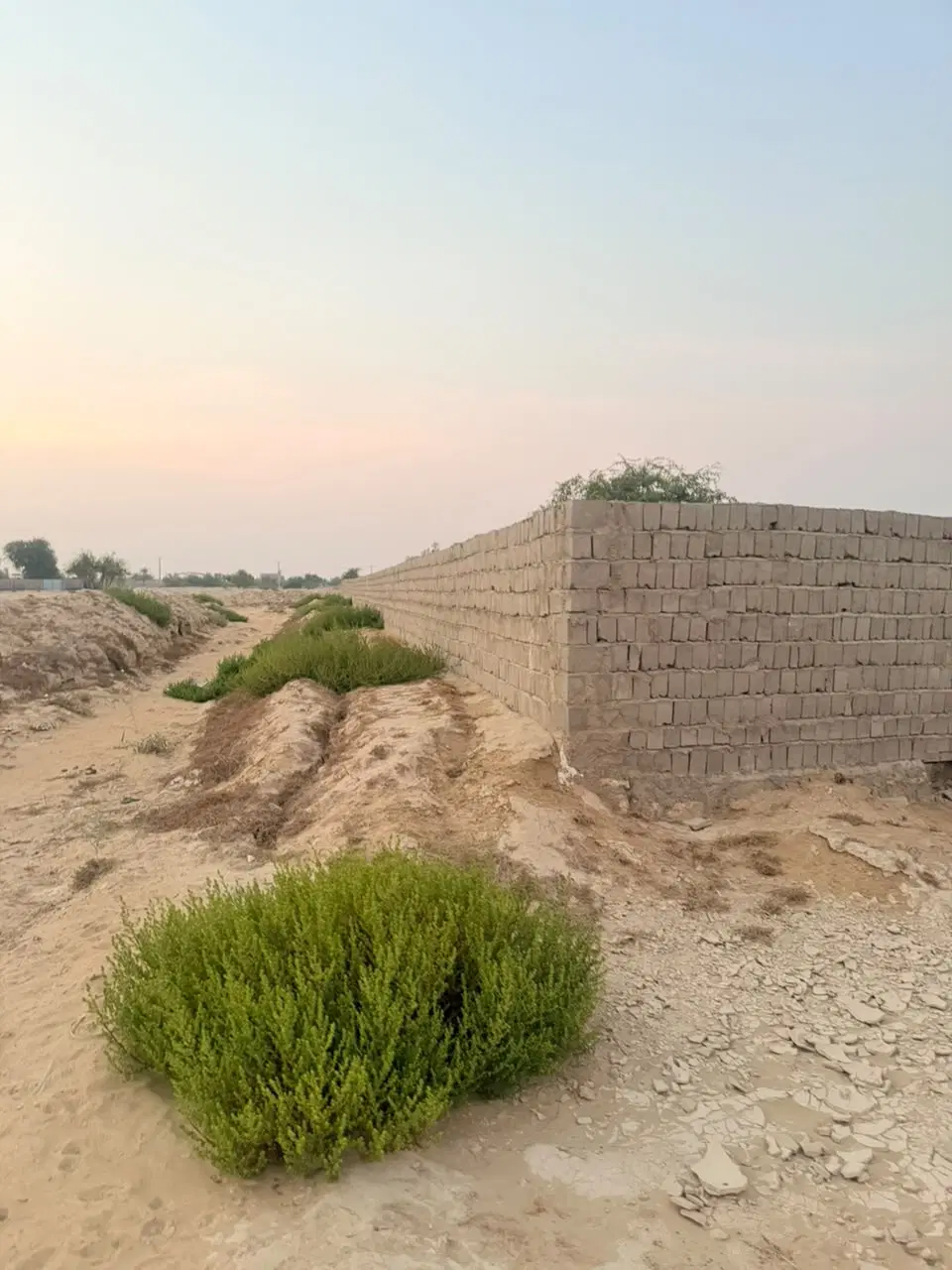 تصویر 5