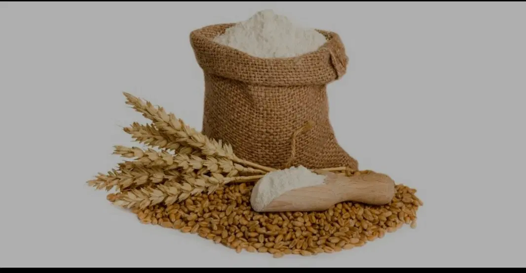 آردبومی|خوردنی و آشامیدنی|باغ بهادران, |دیوار