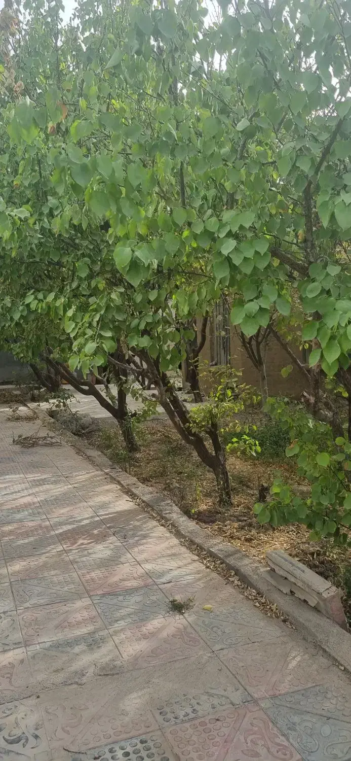 تصویر 8