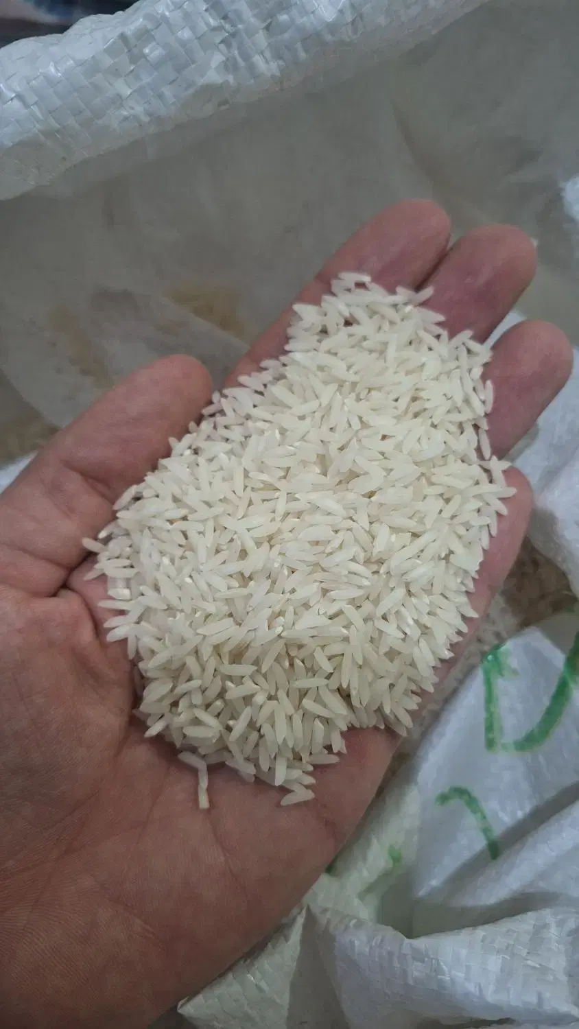 برنج|خوردنی و آشامیدنی|رودسر, |دیوار