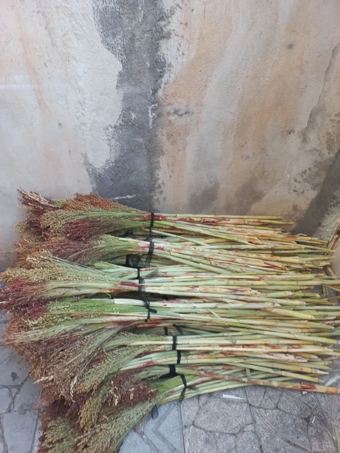 جارو|جاروبرقی، جارو شارژی، بخارشو|الشتر, |دیوار