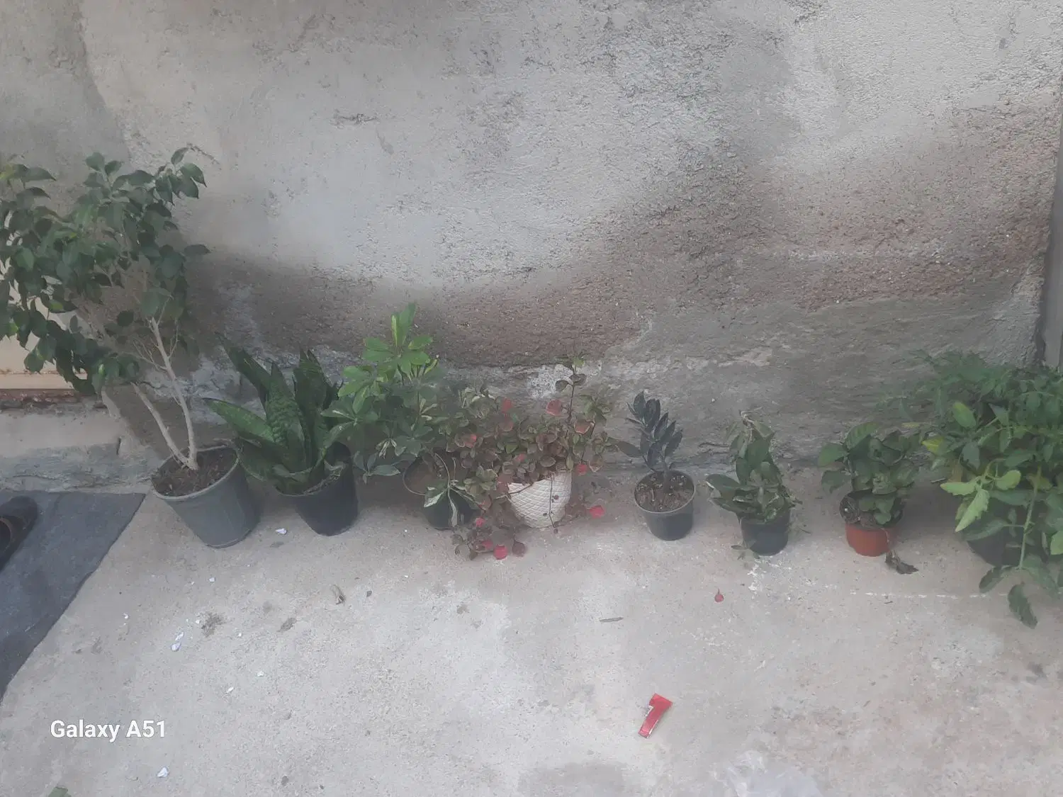گوشی a51|موبایل|بندرلنگه, |دیوار
