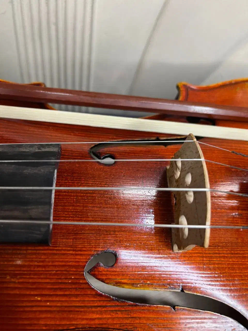 ویولن|ویولن|شاهینشهر, شهرک میلاد|دیوار