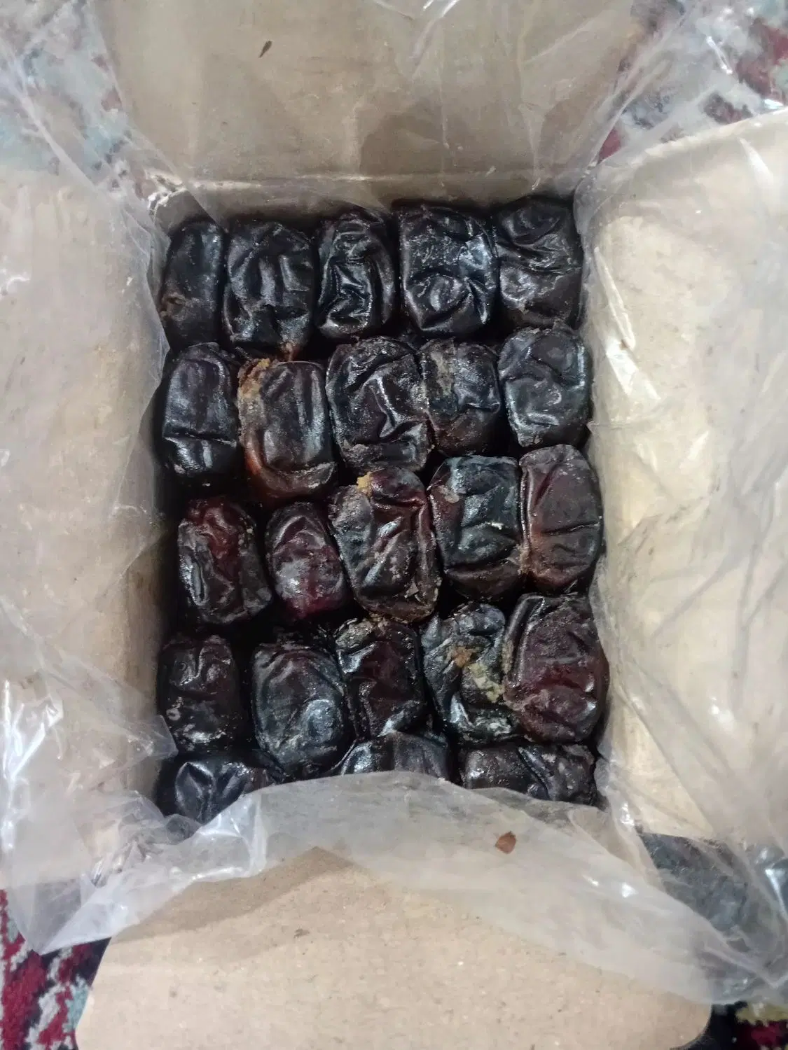 خرما|خوردنی و آشامیدنی|مشهد, کوی دروی|دیوار