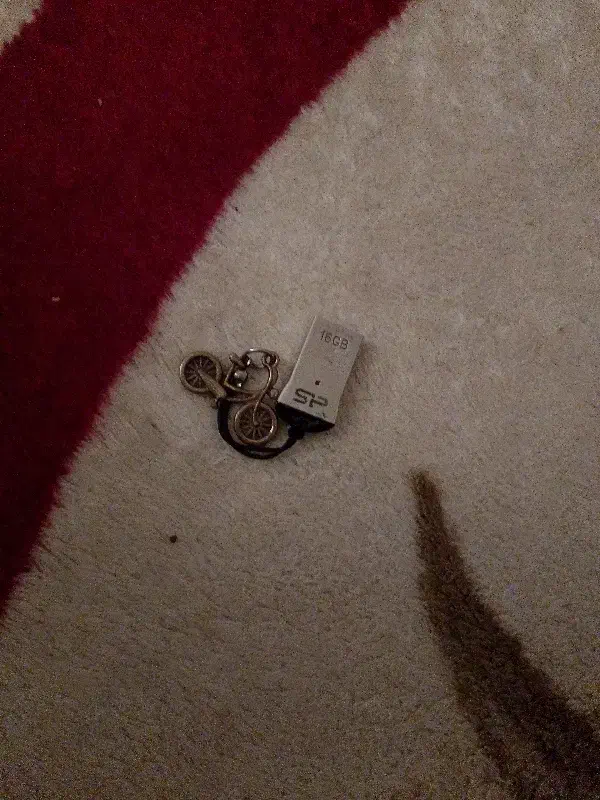 فلش|کلکسیون اشیاء عتیقه|مشهد, بهمن|دیوار