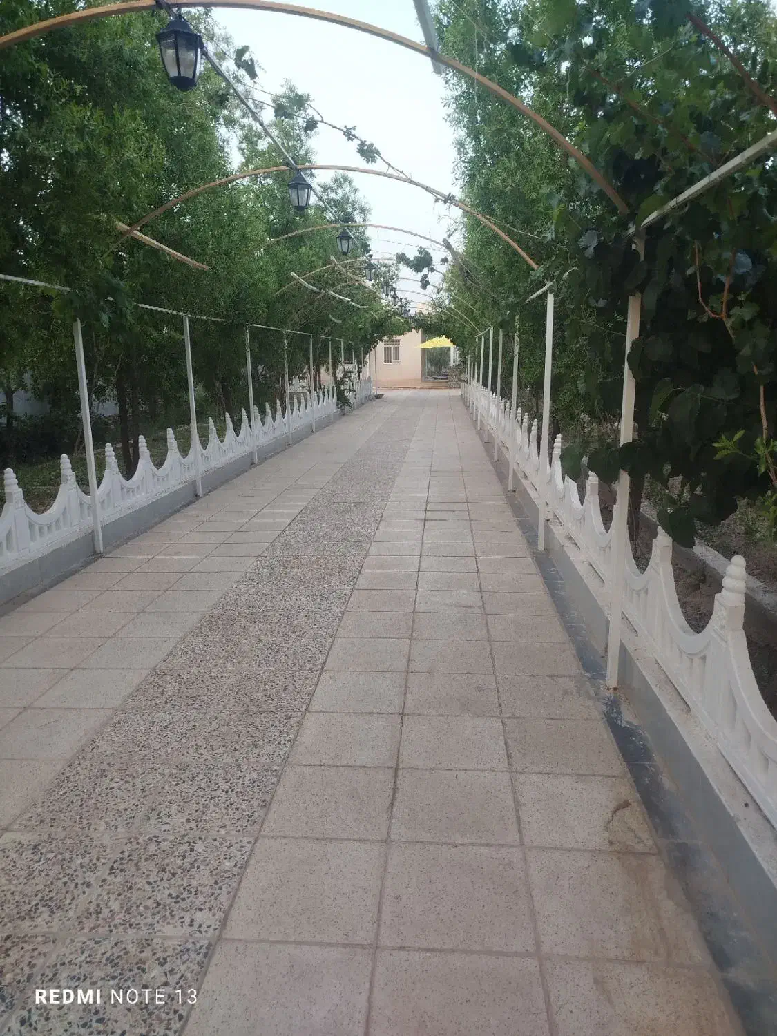 تصویر 20