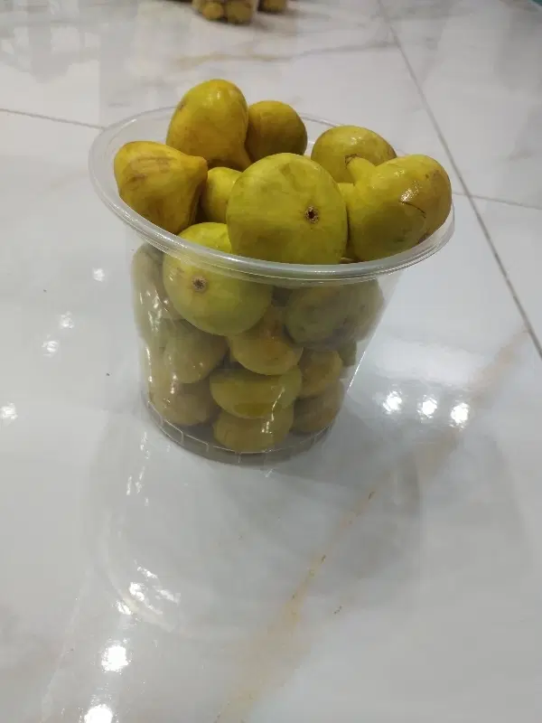 انجیر|خوردنی و آشامیدنی|یزد, |دیوار
