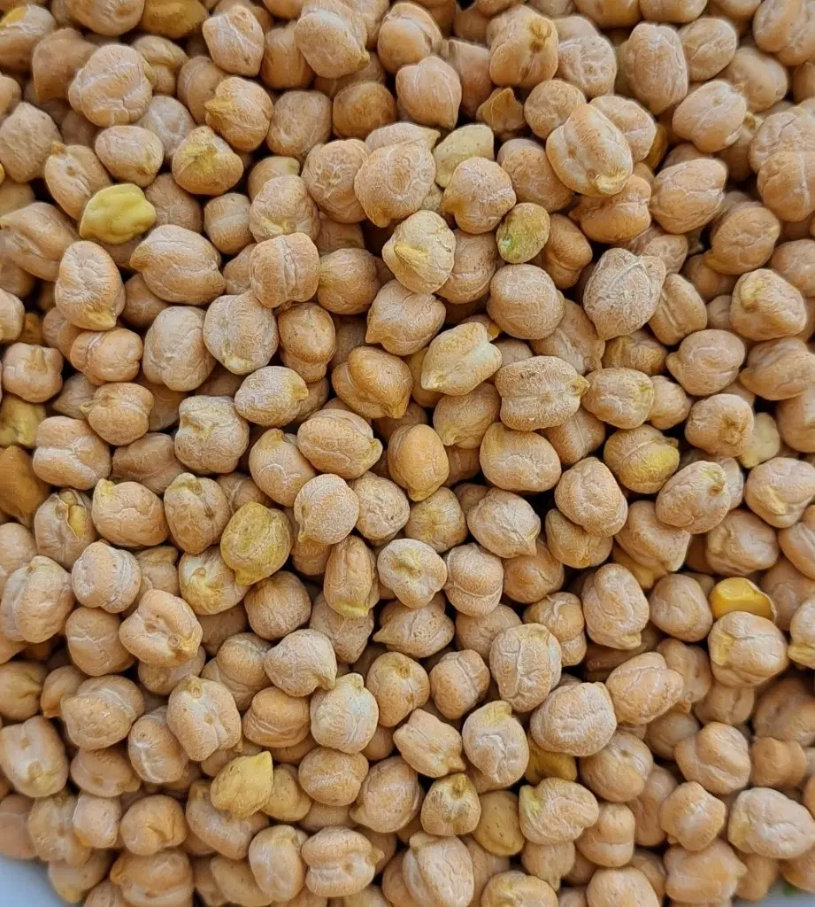 نخود|خوردنی و آشامیدنی|ابهر, |دیوار