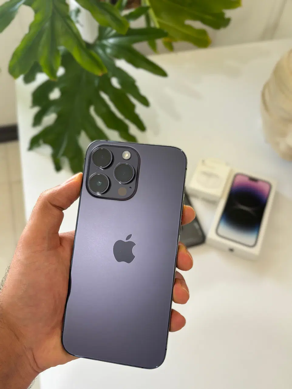 iPhone 14 Promax Zaa 256|موبایل|فولادشهر, B5|دیوار