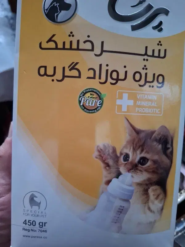غذا|گربه|قم, حاج زینل|دیوار